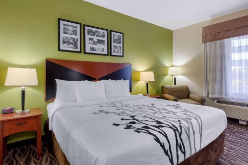 Sleep Inn & Suites Montgomery East I-85 image 1